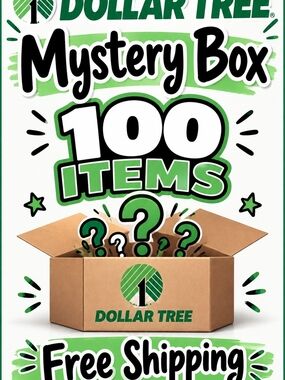 Dollar Tree Mystery Box 100 Items Free Shipping